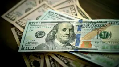 Dolar Kuru Bugün Ne Kadar? (20 Kasım 2024 Güncel)