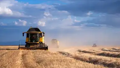 Dünya Gıda Fiyatları Ocak'ta Geriledi