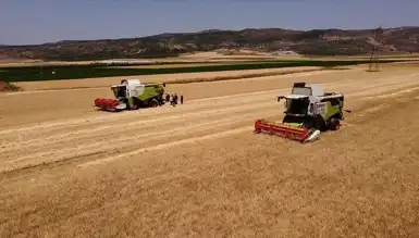 TMO'dan 90 Gün Vadeli Yemlik Arpa ve Yulaf Satışı