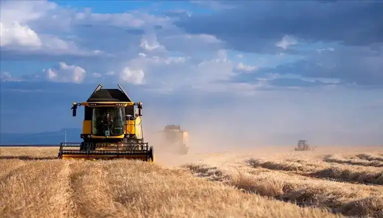 Dünya Gıda Fiyatları Ocak'ta Geriledi